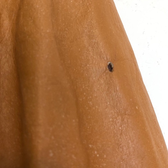 ⚡️Vintage Leather Jacket⚡️ - Picture 16 of 16